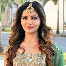 Rubina Dilaik Net Worth